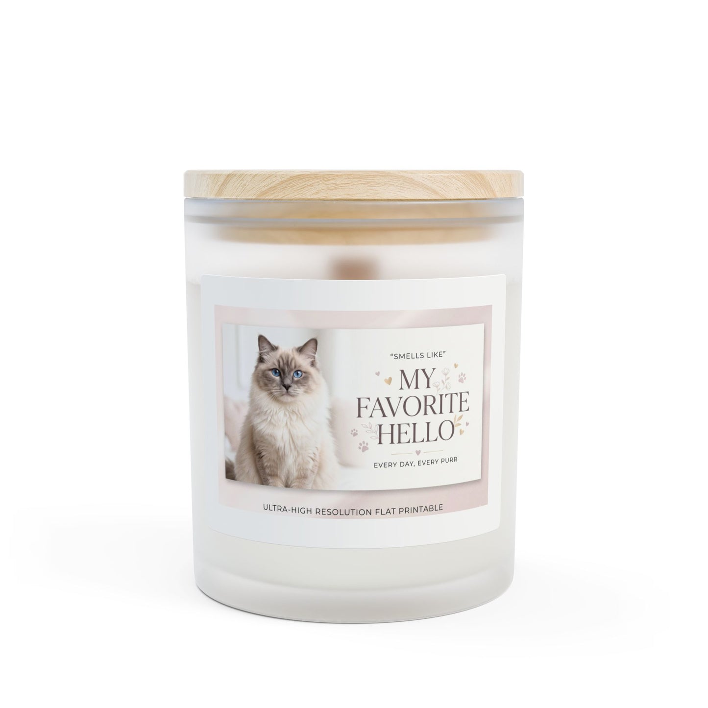 Scented Frosted Glass Candle — “My Favorite Hello” Cat Photo Soy Candle, 11 oz