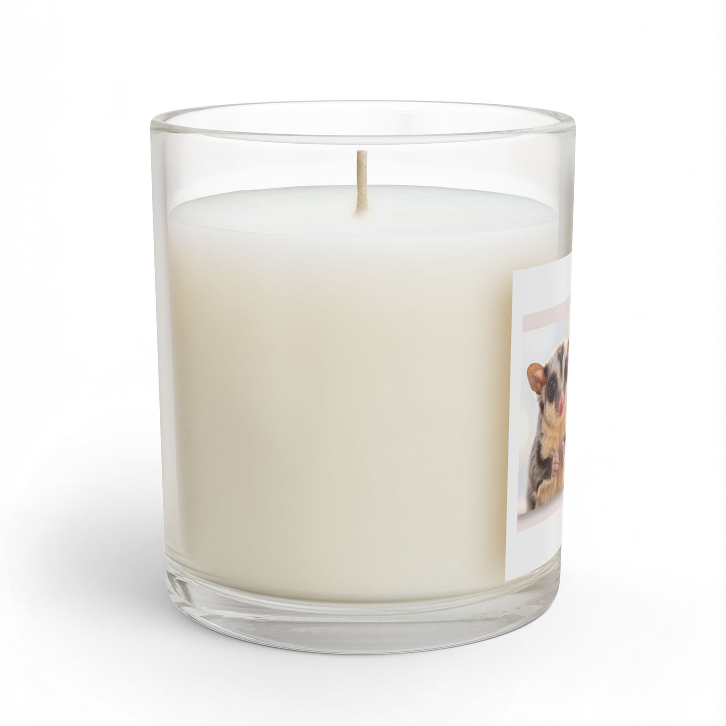 My Tiny Best Friend Candle — 11oz Glass Scented Candle (Sugar Glider Design)