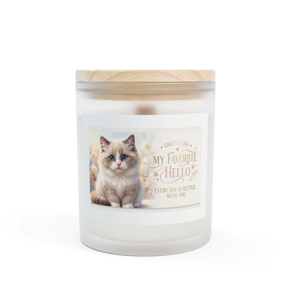Kitten Photo Frosted Glass Candle — “My Favorite Hello” Scented Candle, 11 oz
