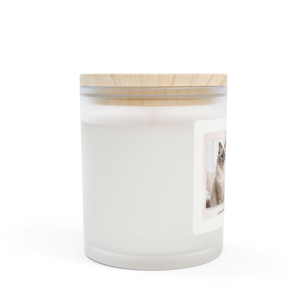 Scented Frosted Glass Candle — “My Favorite Hello” Cat Photo Soy Candle, 11 oz