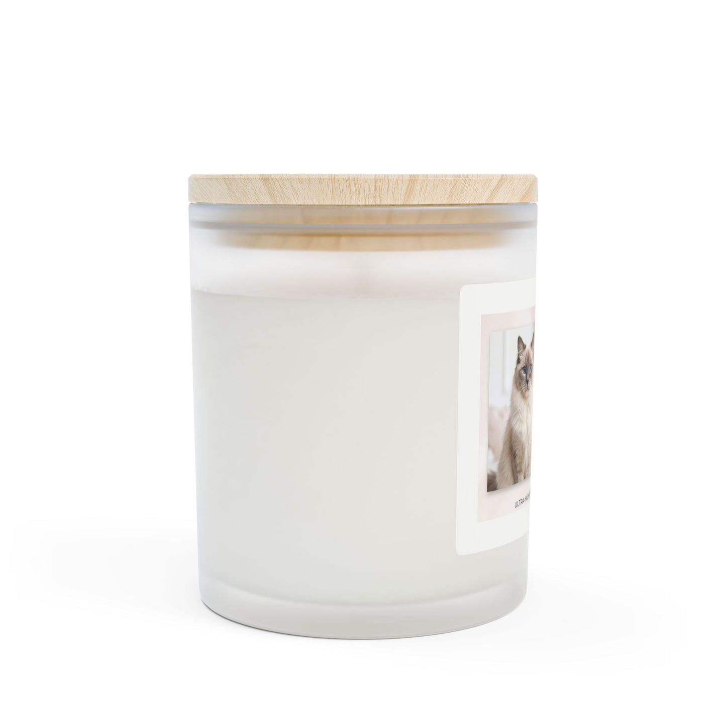Scented Frosted Glass Candle — “My Favorite Hello” Cat Photo Soy Candle, 11 oz